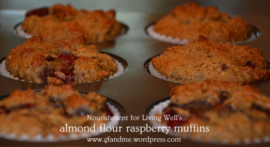 almond flour raspberry muffins. gf and me 2013.