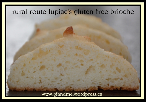 gluten free brioche buns